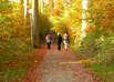 Wandern Insel Usedom