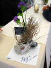 Grand Schlemm 2010