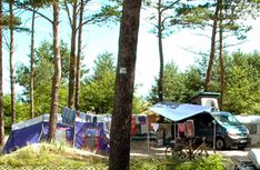 Camping Usedom
