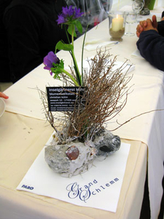 Grand Schlemm 2010