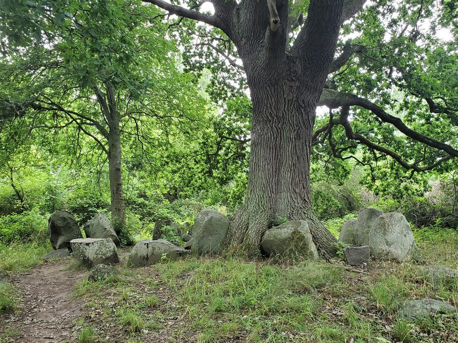 Rekonstruiertes Großsteingrab bei Lütow auf der Halbinsel Gnitz