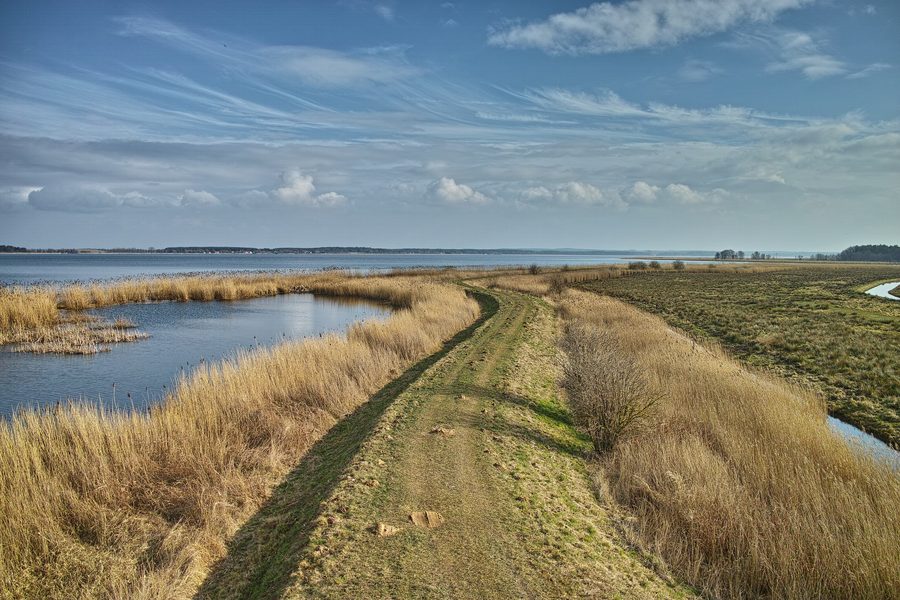Blick auf den Peenestrom bei Lassan im Naturpark Insel Usedom