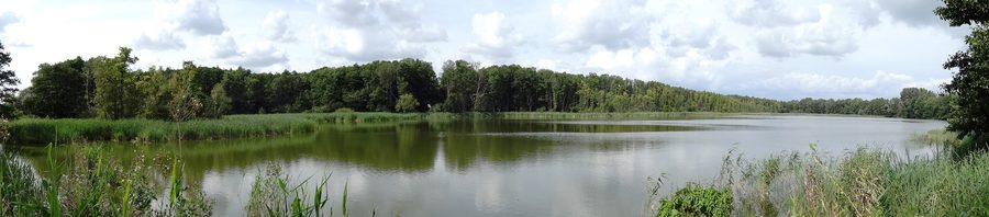 Panorama des Schlosssees in Buggenhagen