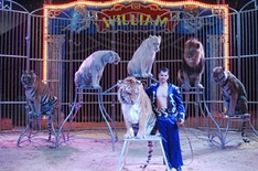 Circus William auf der Insel Usedom