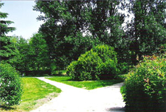 Bluthsluster Park in Anklam