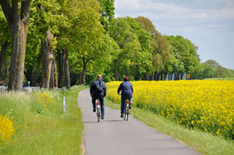 Usedom mit E-Bikes erkunden