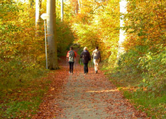 Veranstaltungen Usedom September 2010