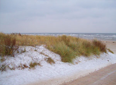 Schnee Insel usedom