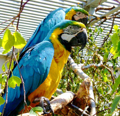 Ausflugsziel Tropenhaus Bansin