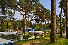 Dünencamp Karlshagen - Campingurlaub auf der Insel Usedom