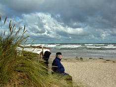 Natur Naturpark Insel Usedom