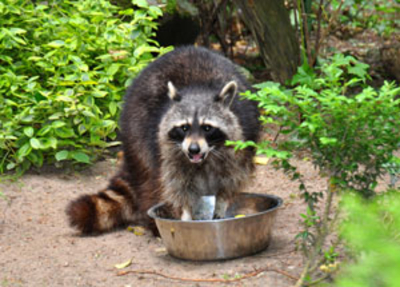 Familien-Tierpark Wolgast