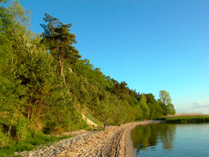 Natur Insel Usedom