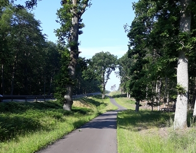 Der neue Radweg zwischen Usedom und Mellenthin