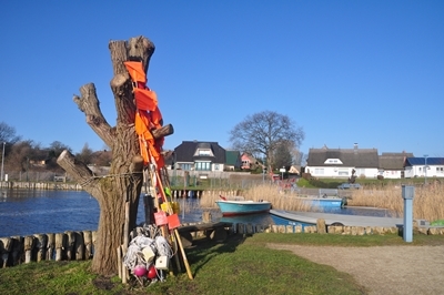 Zempin Insel Usedom