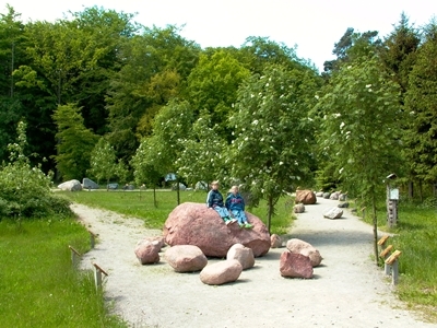 Der Gesteinsgarten in Ückeritz/Neu Pudagla