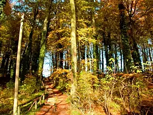 Der Streckelsberg lädt zu jeder Jahreszeit zur 