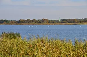 Cämmerer See