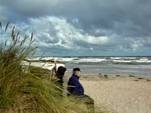 Natur Naturpark Insel Usedom